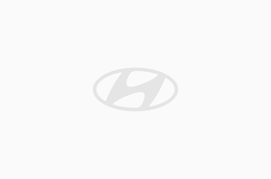 Einbaukit für Webasto Standheizung Thermo Top Evo